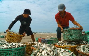 Giao diện bắn cá online trên điện thoại với nhiều mục tiêu dưới biển